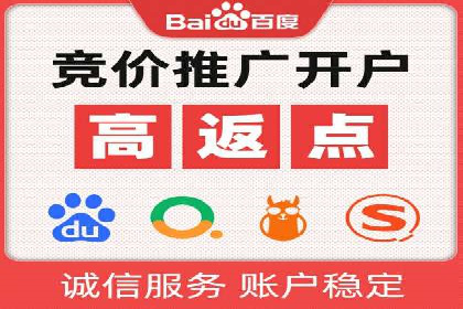 案例解读：网络推广与竞价策略